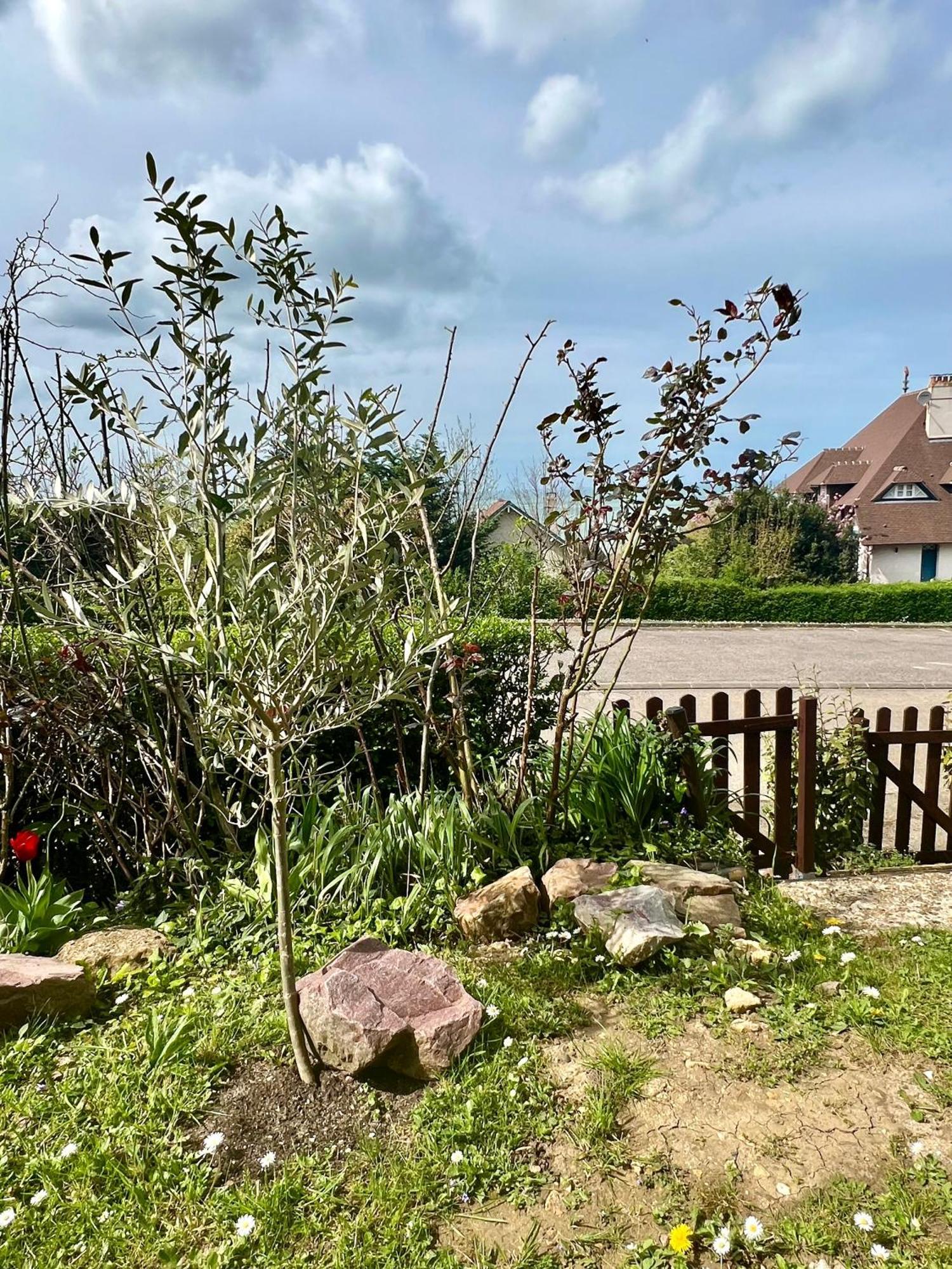 Grand Rez De Jardin-Terrasse Avec Vue Sur La Mer - 2 Chambres Blonville-sur-Mer Exteriör bild